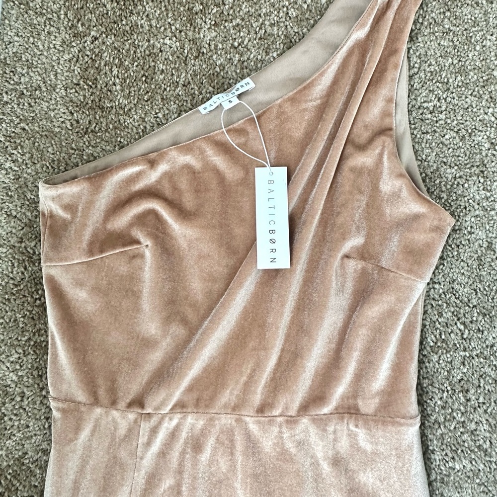 Baltic Born One Shoulder Velvet Dress